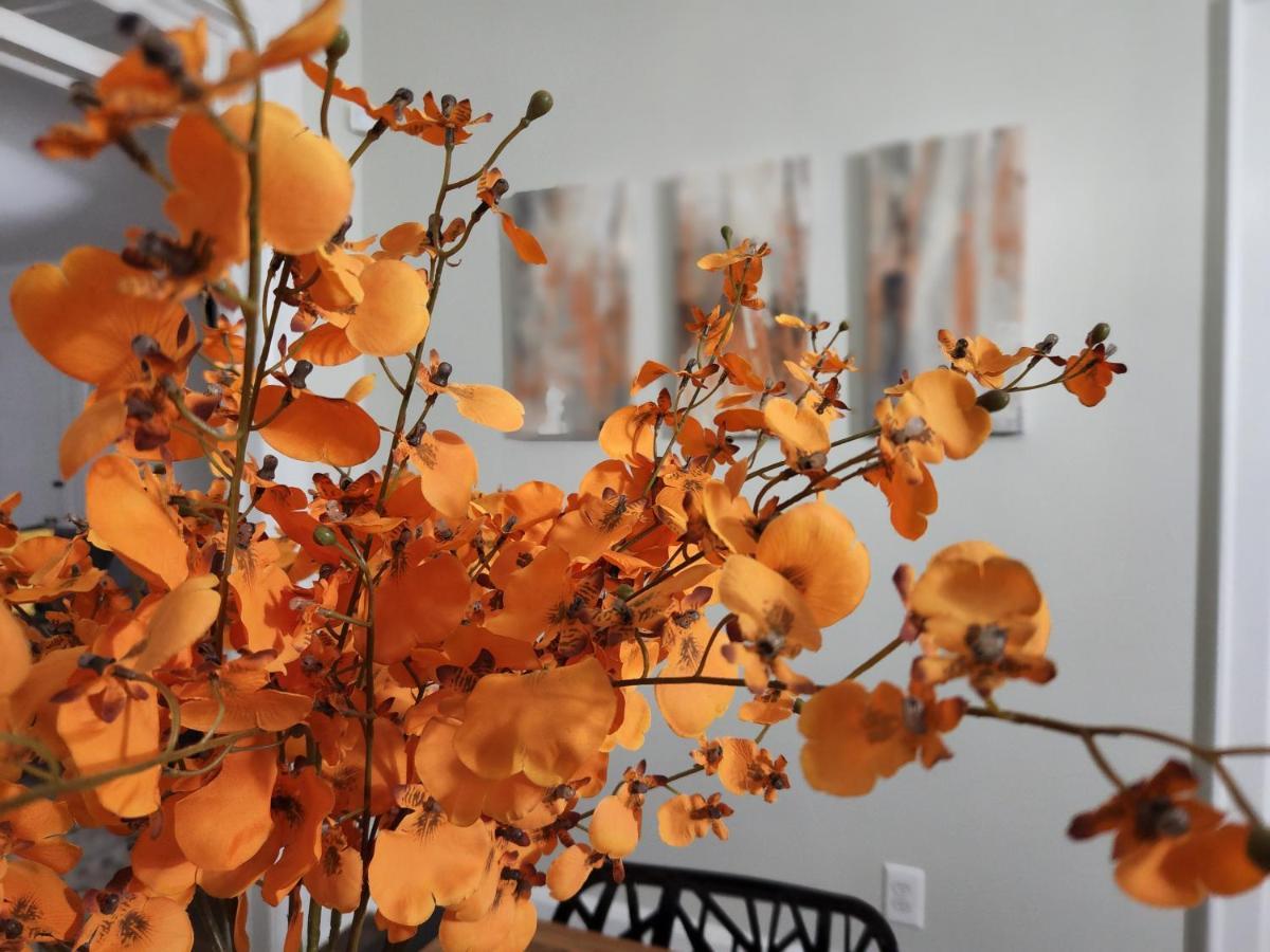 Spacious Centrally Located 3 Bed 2 Bath - Sleeps 8 Montgomery Ngoại thất bức ảnh